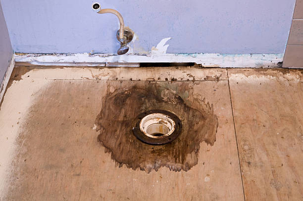 Mold Prevention  Remediation